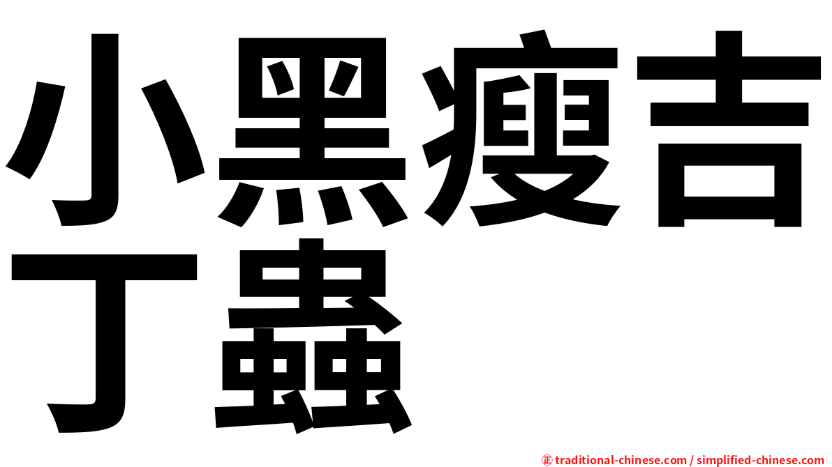 小黑瘦吉丁蟲