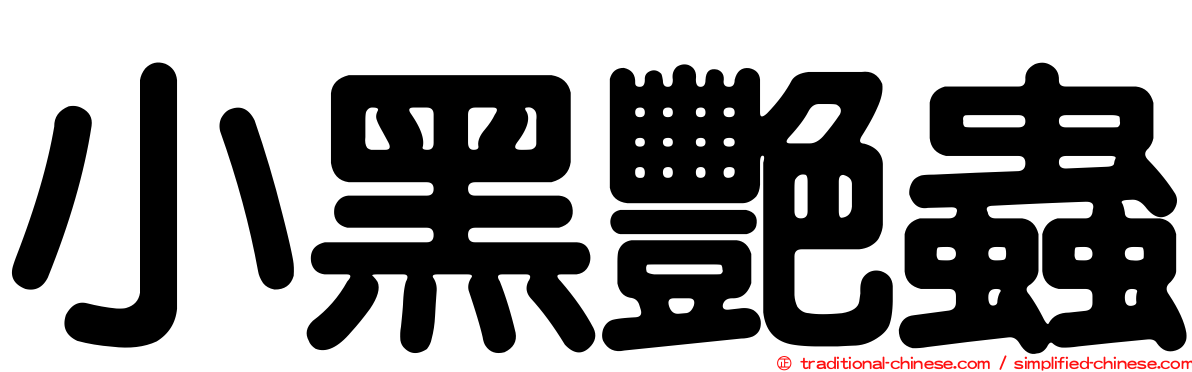 小黑艷蟲
