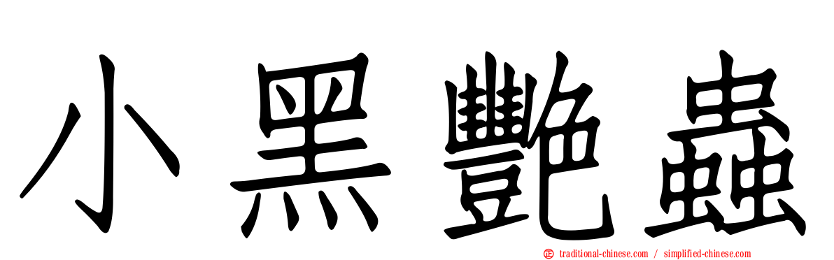 小黑艷蟲