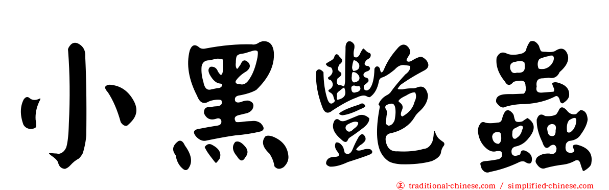 小黑艷蟲