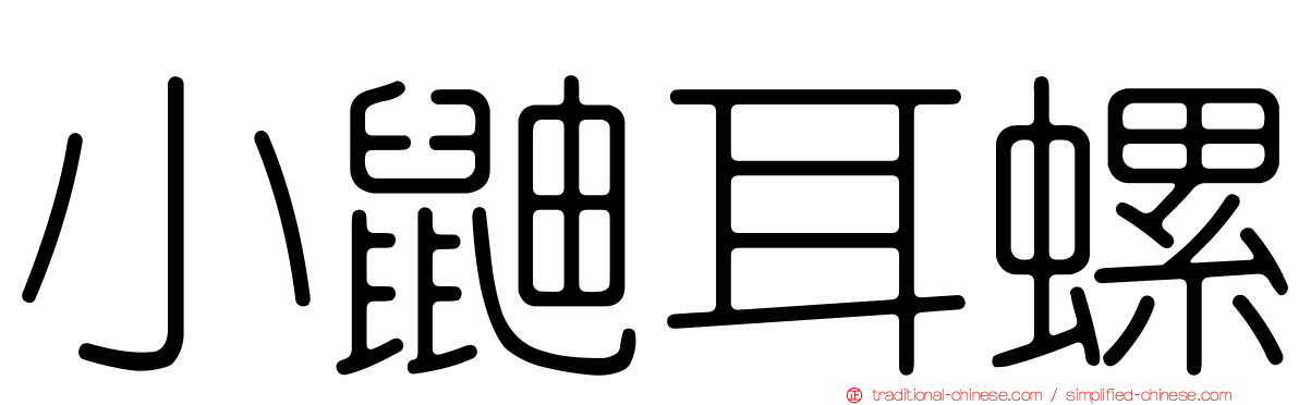 小鼬耳螺