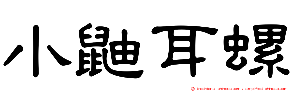 小鼬耳螺