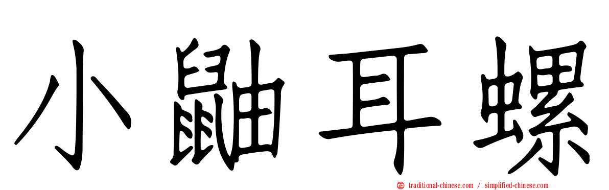 小鼬耳螺