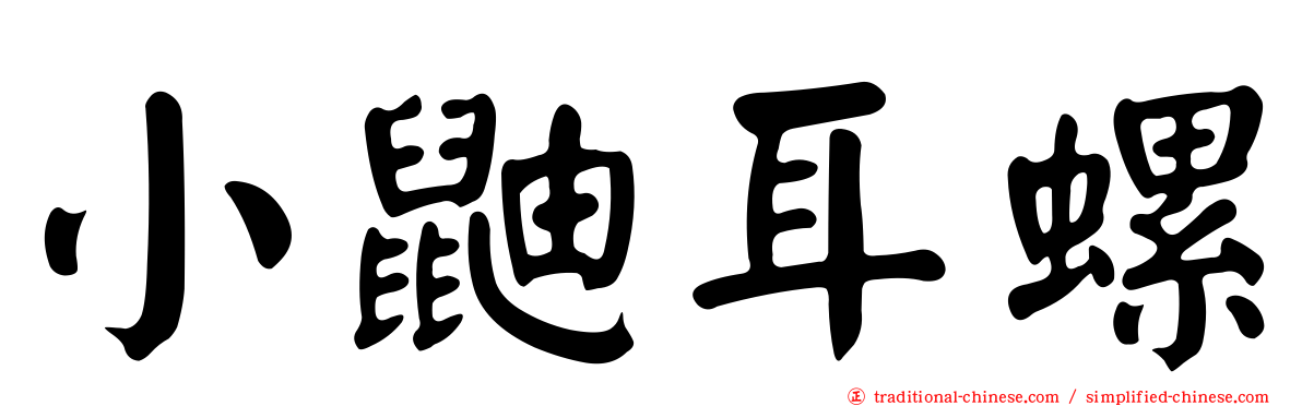 小鼬耳螺
