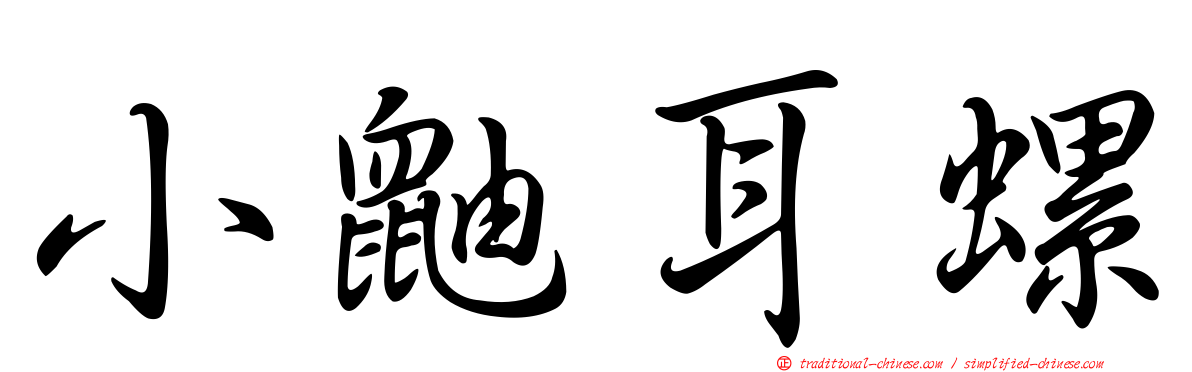 小鼬耳螺