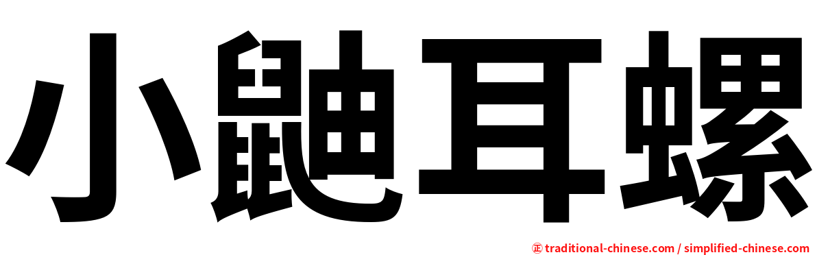 小鼬耳螺