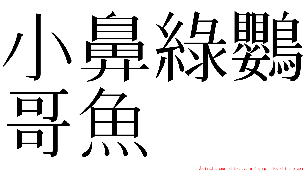 小鼻綠鸚哥魚 ming font