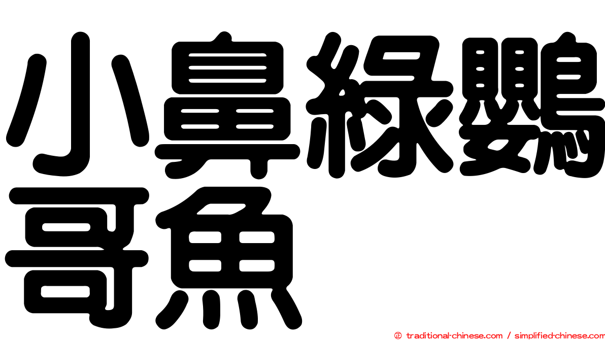 小鼻綠鸚哥魚