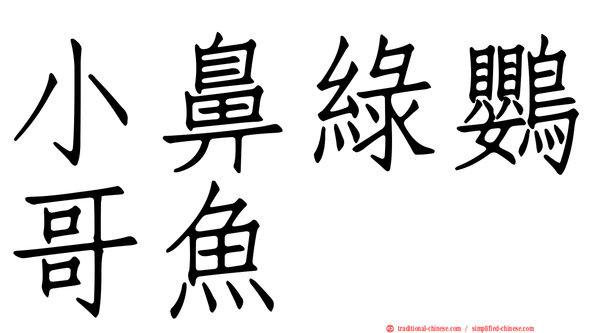 小鼻綠鸚哥魚