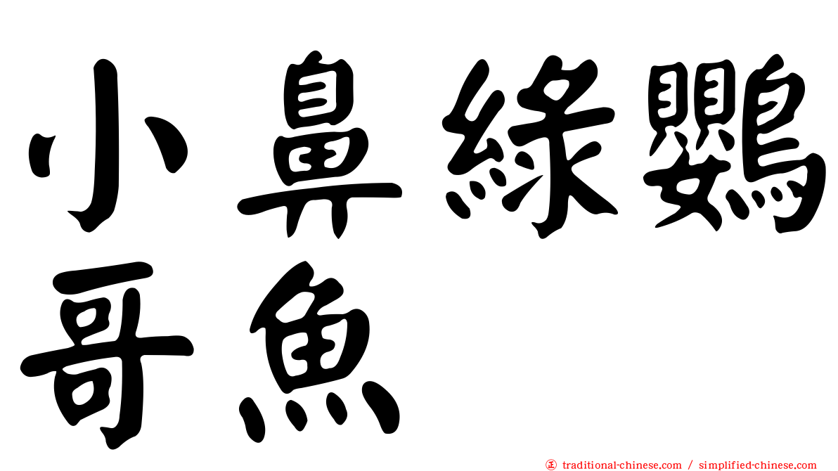 小鼻綠鸚哥魚