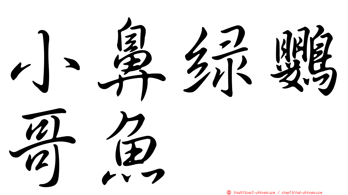 小鼻綠鸚哥魚