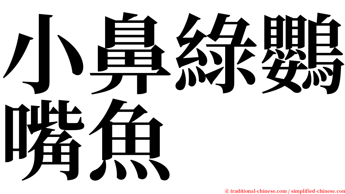 小鼻綠鸚嘴魚 serif font