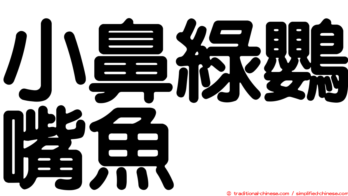 小鼻綠鸚嘴魚