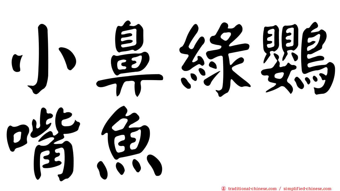 小鼻綠鸚嘴魚
