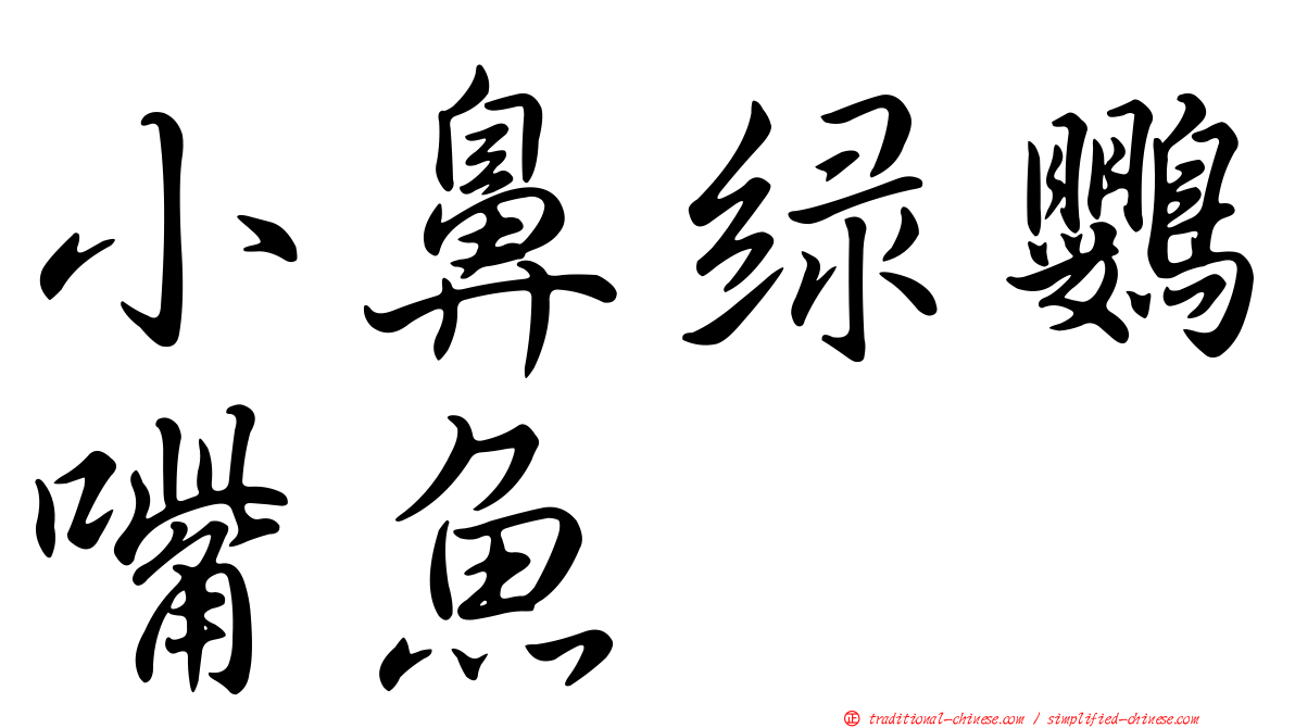 小鼻綠鸚嘴魚