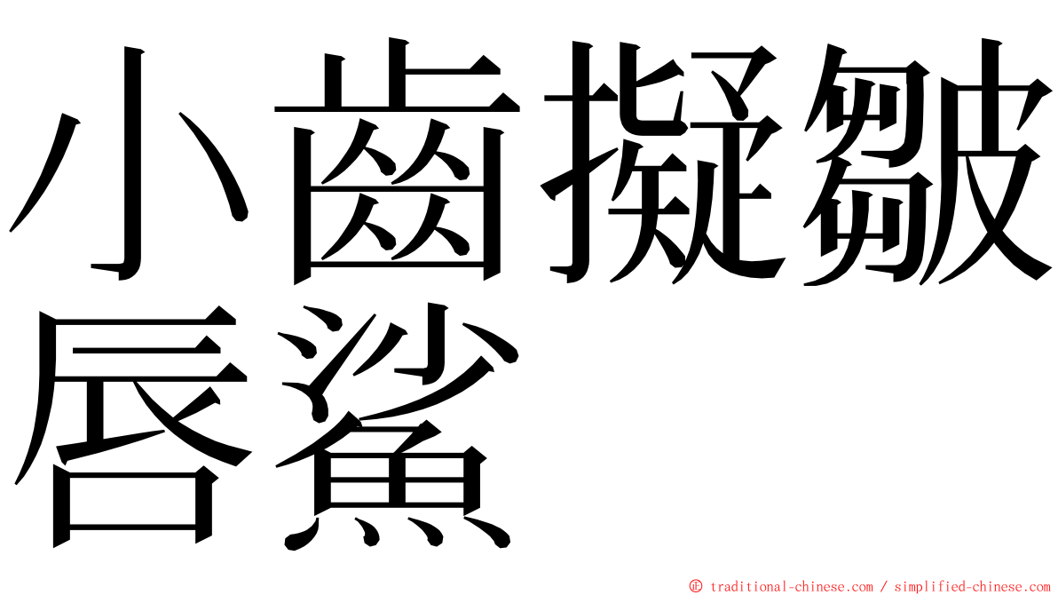 小齒擬皺唇鯊 ming font