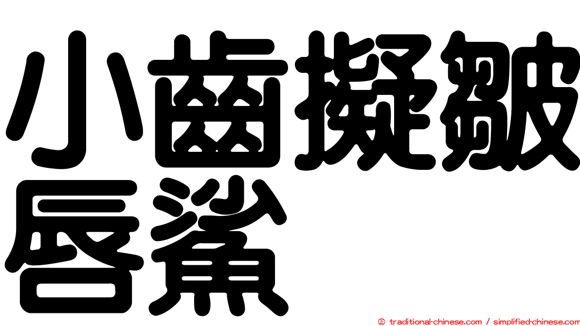 小齒擬皺唇鯊