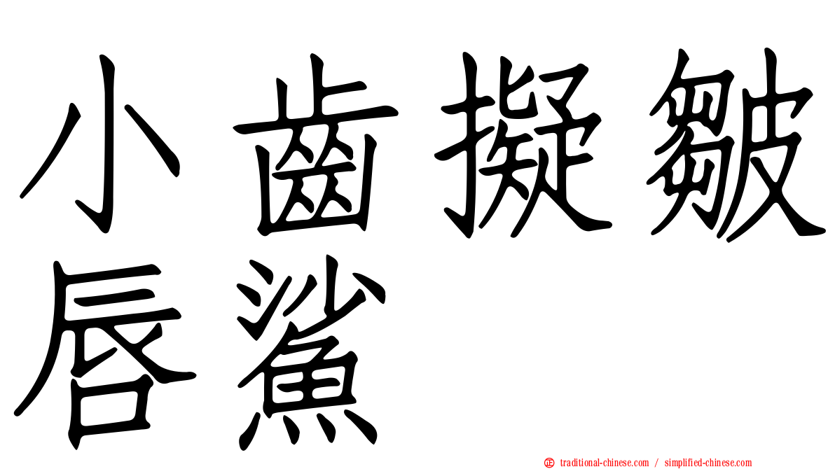 小齒擬皺唇鯊