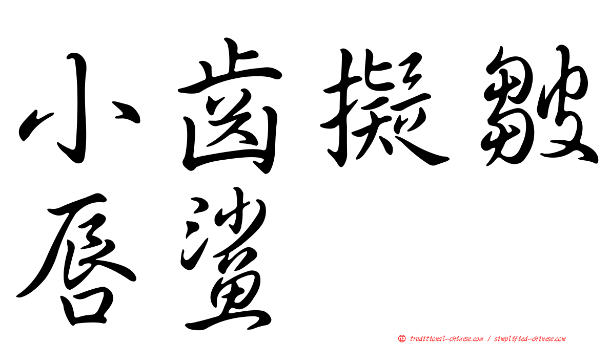 小齒擬皺唇鯊