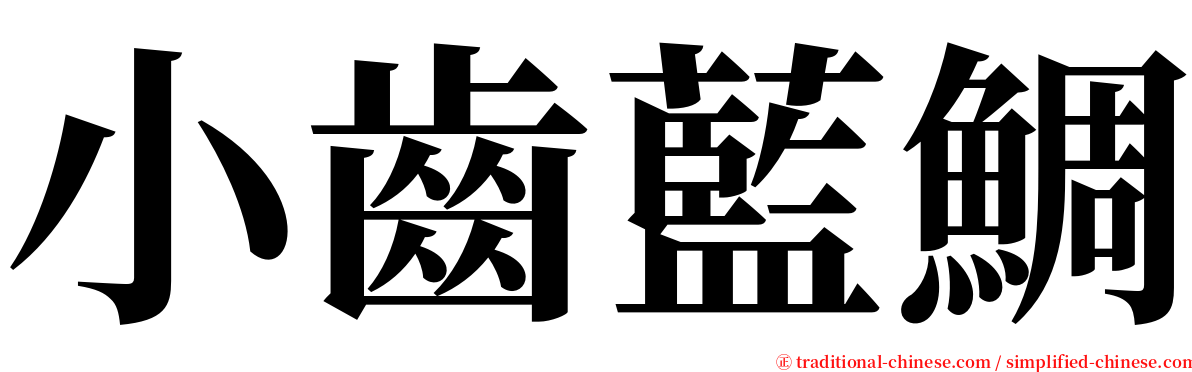 小齒藍鯛 serif font