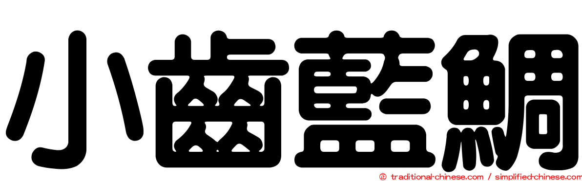 小齒藍鯛