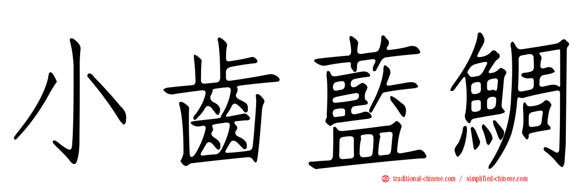 小齒藍鯛