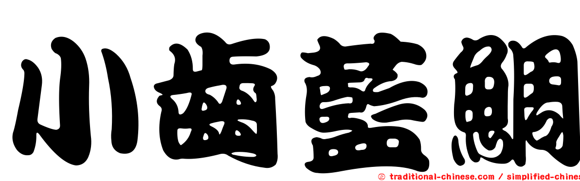 小齒藍鯛