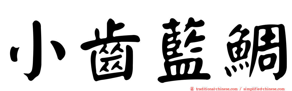 小齒藍鯛