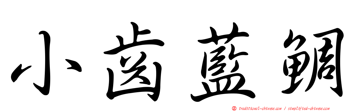 小齒藍鯛