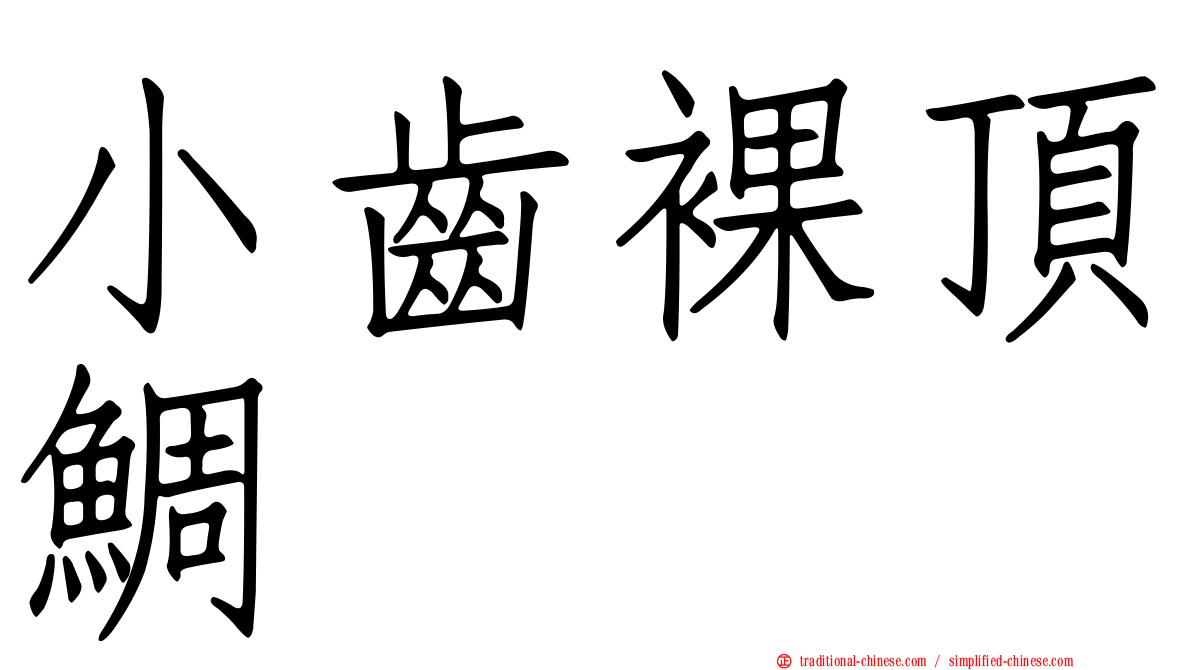 小齒裸頂鯛