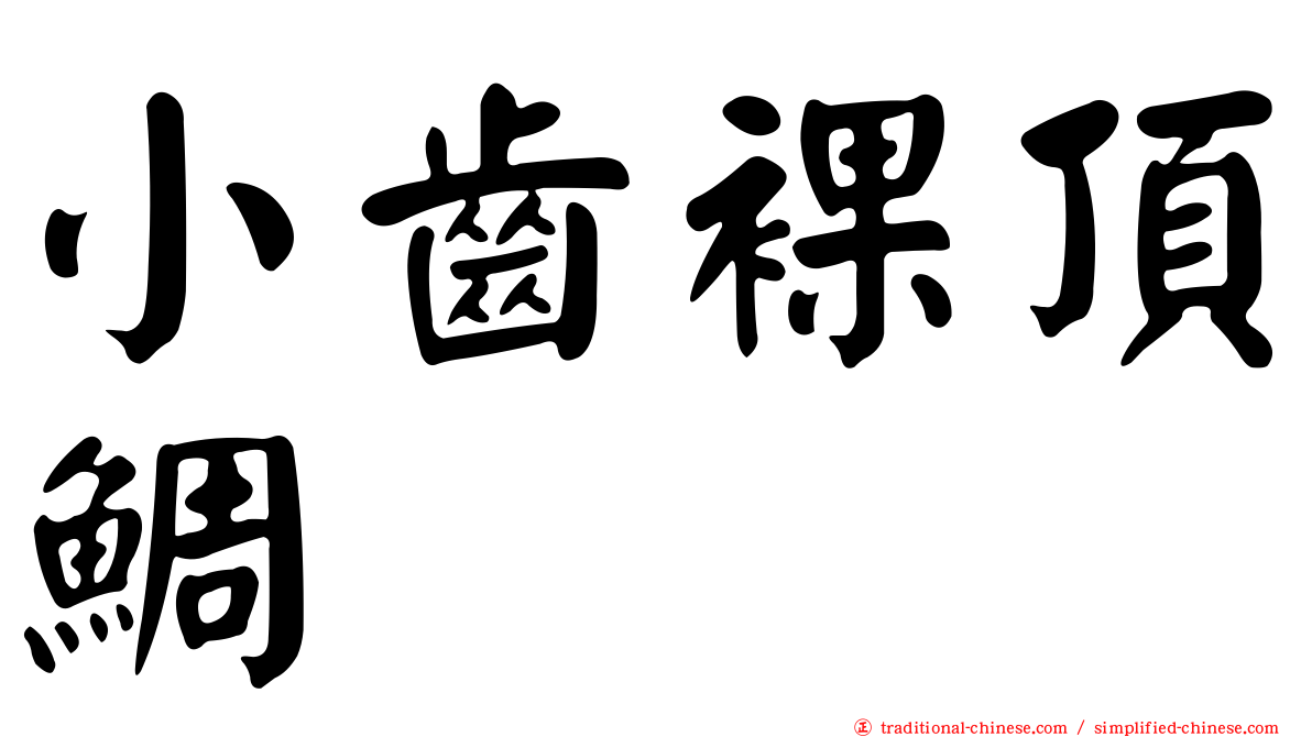 小齒裸頂鯛
