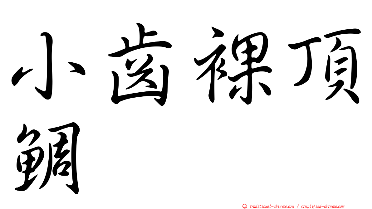 小齒裸頂鯛