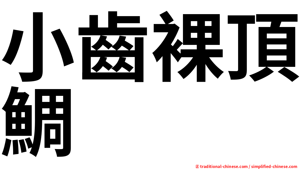 小齒裸頂鯛