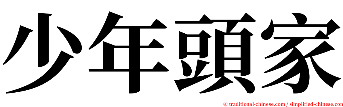 少年頭家 serif font
