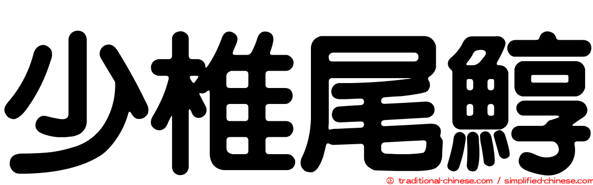 少椎尾鯙