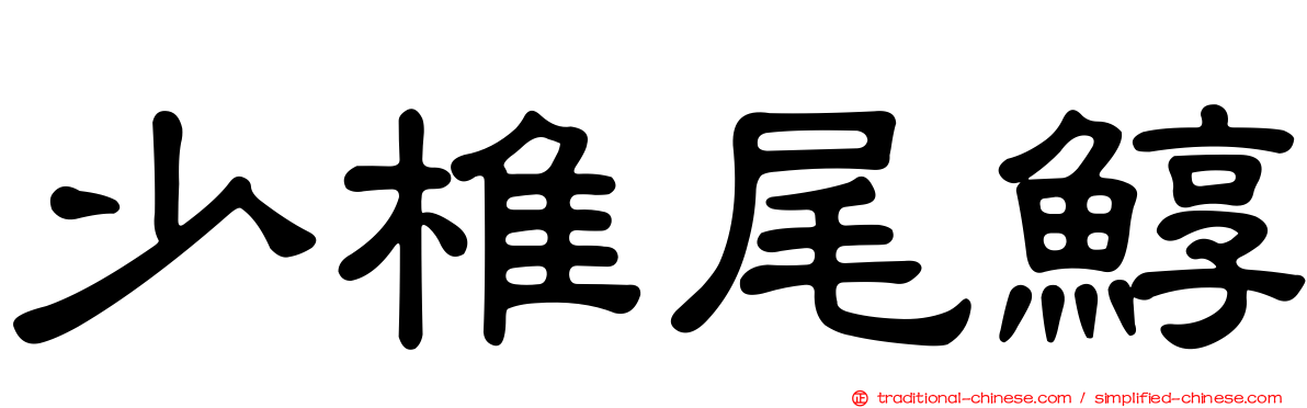 少椎尾鯙