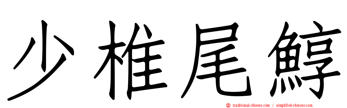 少椎尾鯙