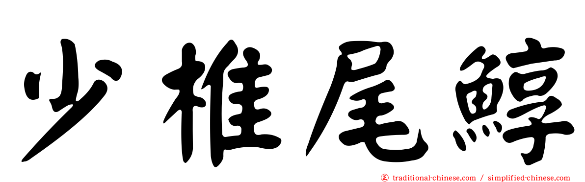 少椎尾鯙