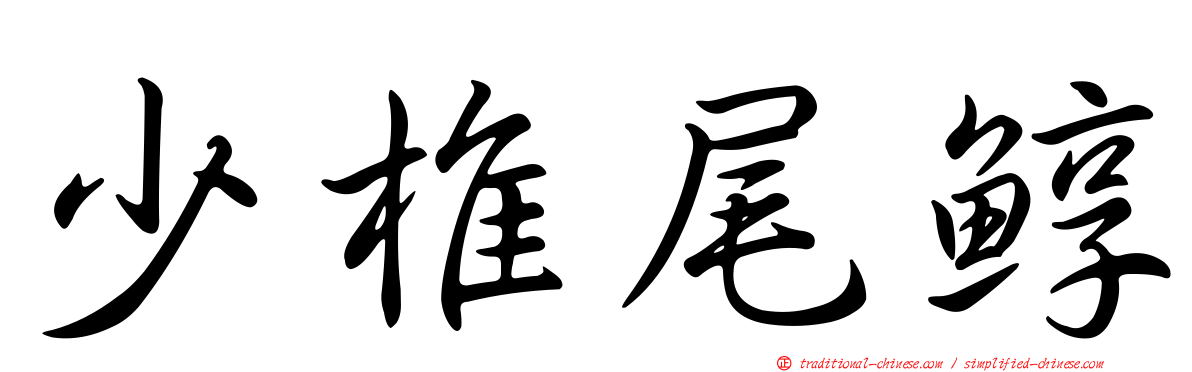 少椎尾鯙