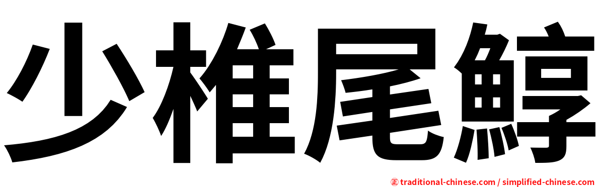 少椎尾鯙