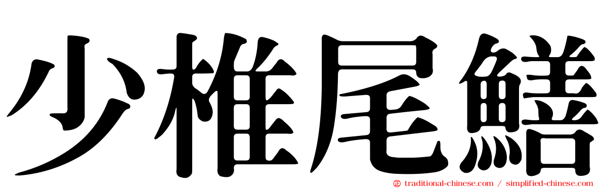 少椎尾鱔