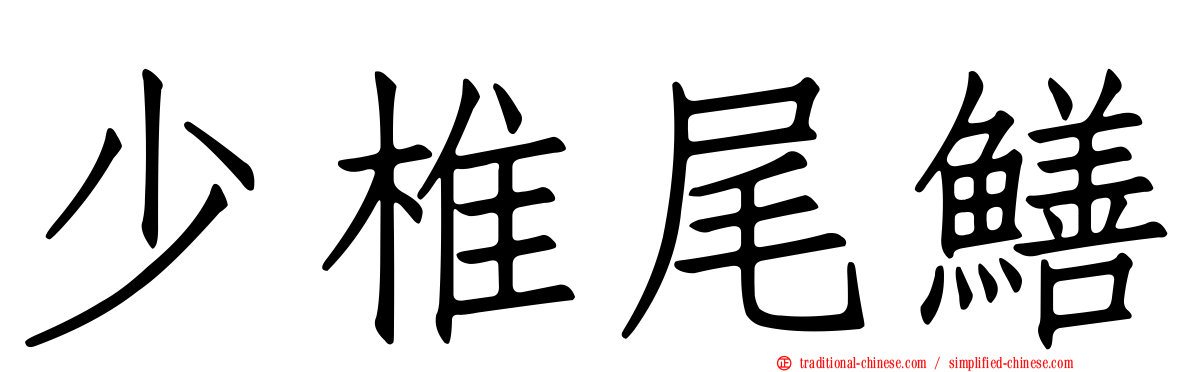 少椎尾鱔