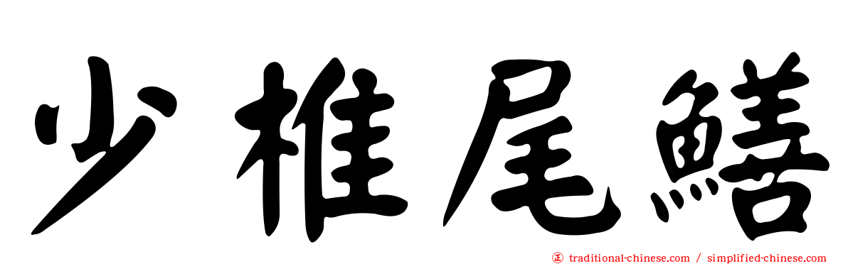 少椎尾鱔