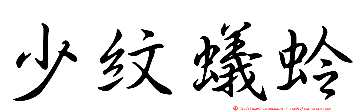 少紋蟻蛉
