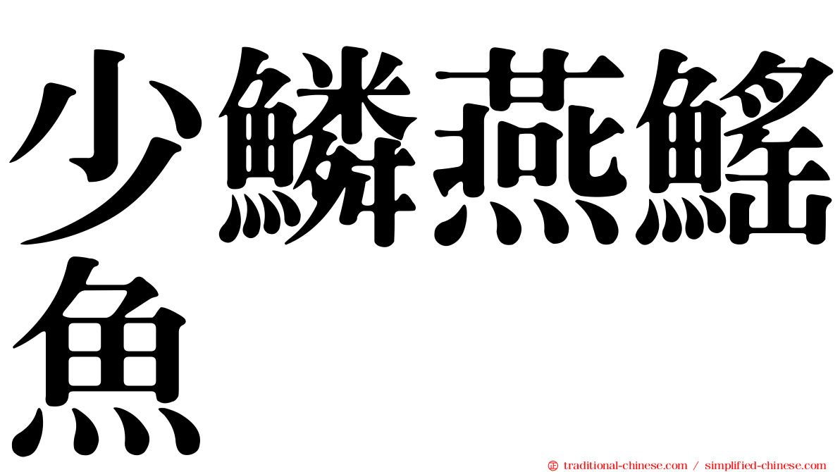 少鱗燕鰩魚