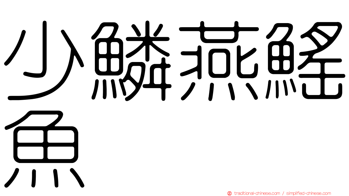 少鱗燕鰩魚