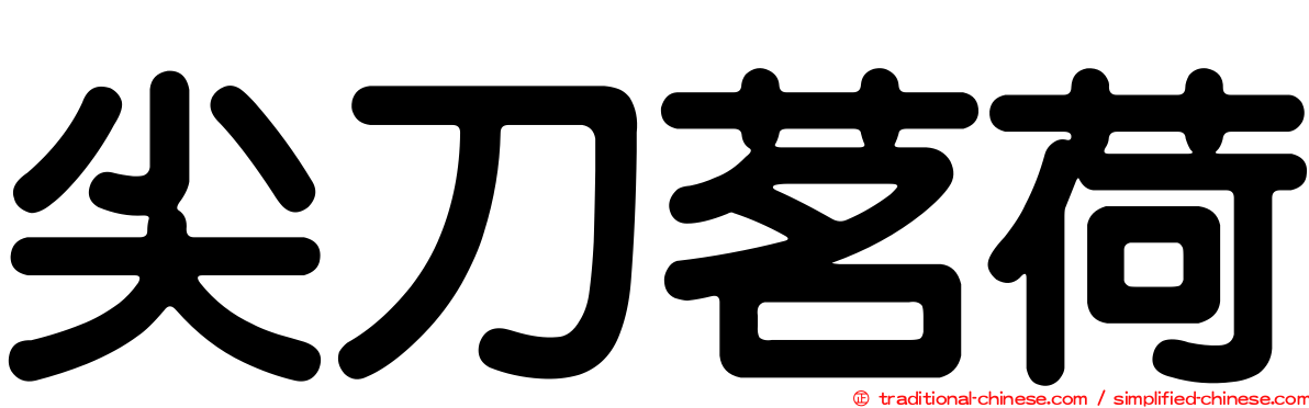 尖刀茗荷