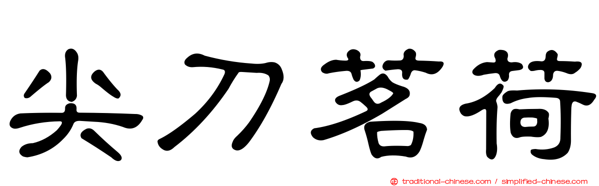 尖刀茗荷