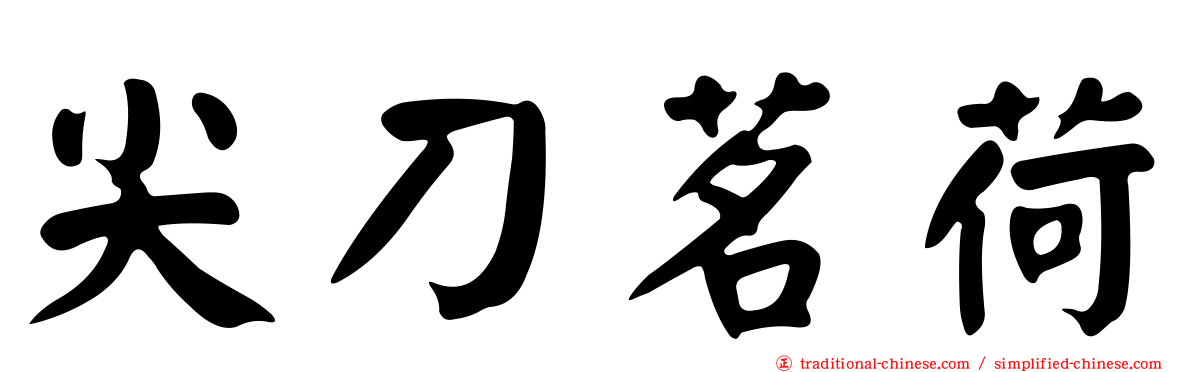 尖刀茗荷