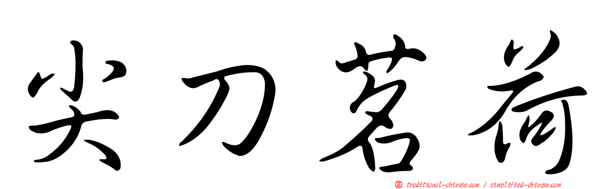 尖刀茗荷